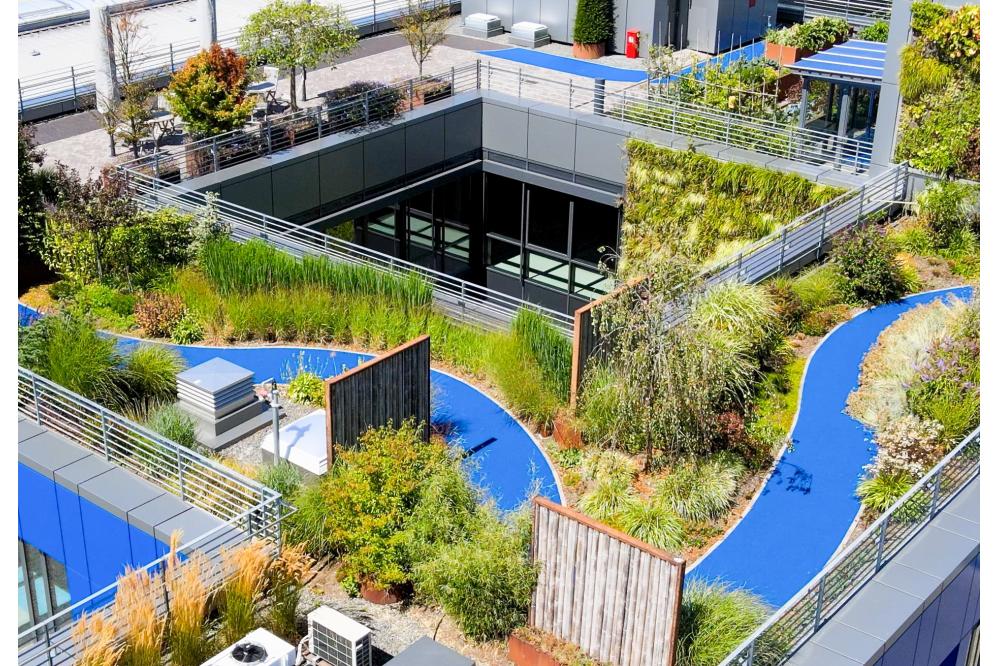 Von der Fläche zur Funktion